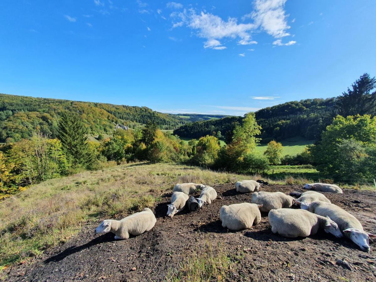 Quiet Business Flat Or Vacation Home In Bad Urach Exterior foto